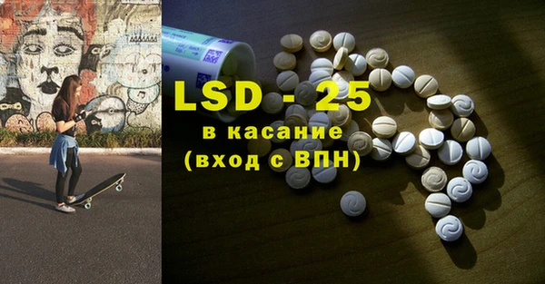 крисы Новодвинск
