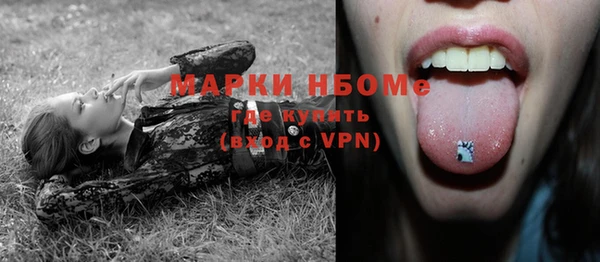 крисы Новодвинск